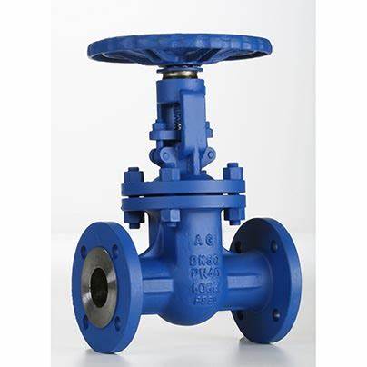 供應(yīng)意大利Valvosider閥門(mén)、過(guò)濾器